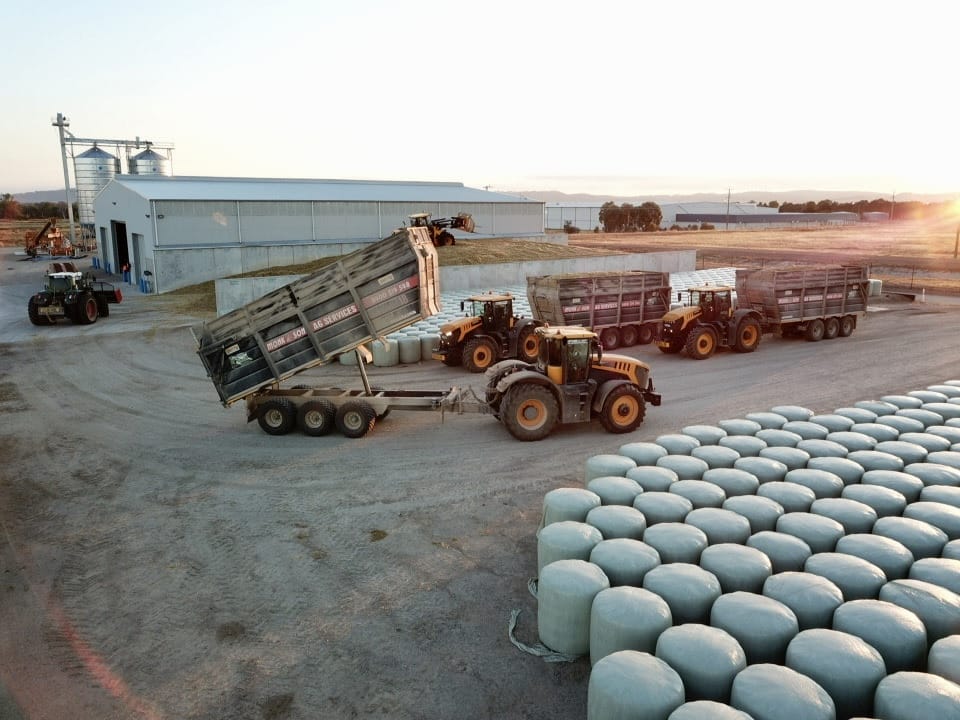 Harvesting corn silage