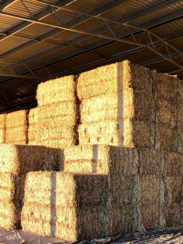 Hay Storage in Shed