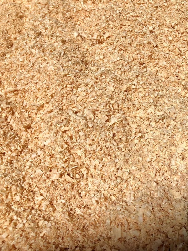 Kiln Dried Wood shavings