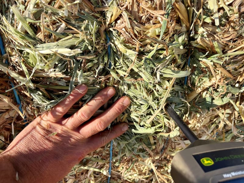 Hay Moisture testing 