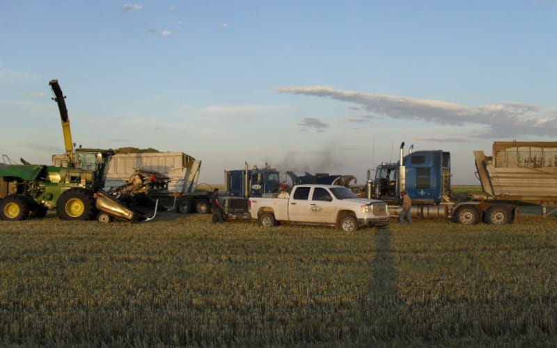 Silage machinery in Canada